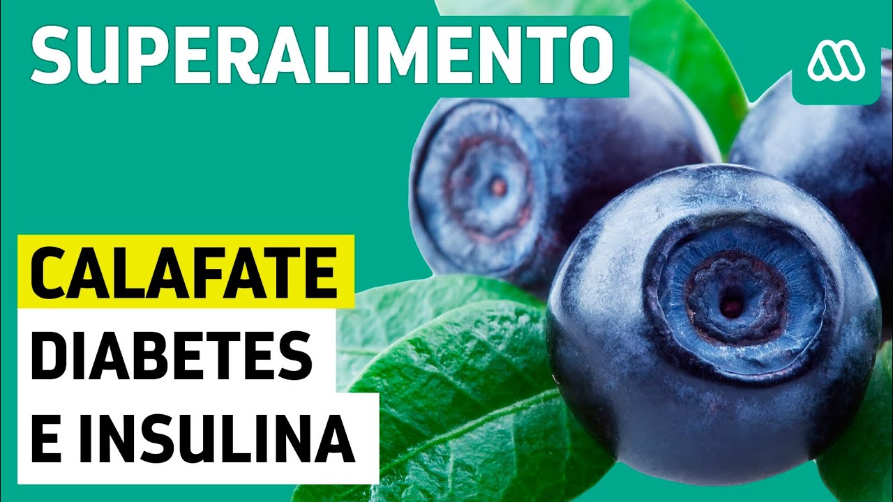 Diabetes e insulina | Los beneficios del calafate para combatir la enfermedad