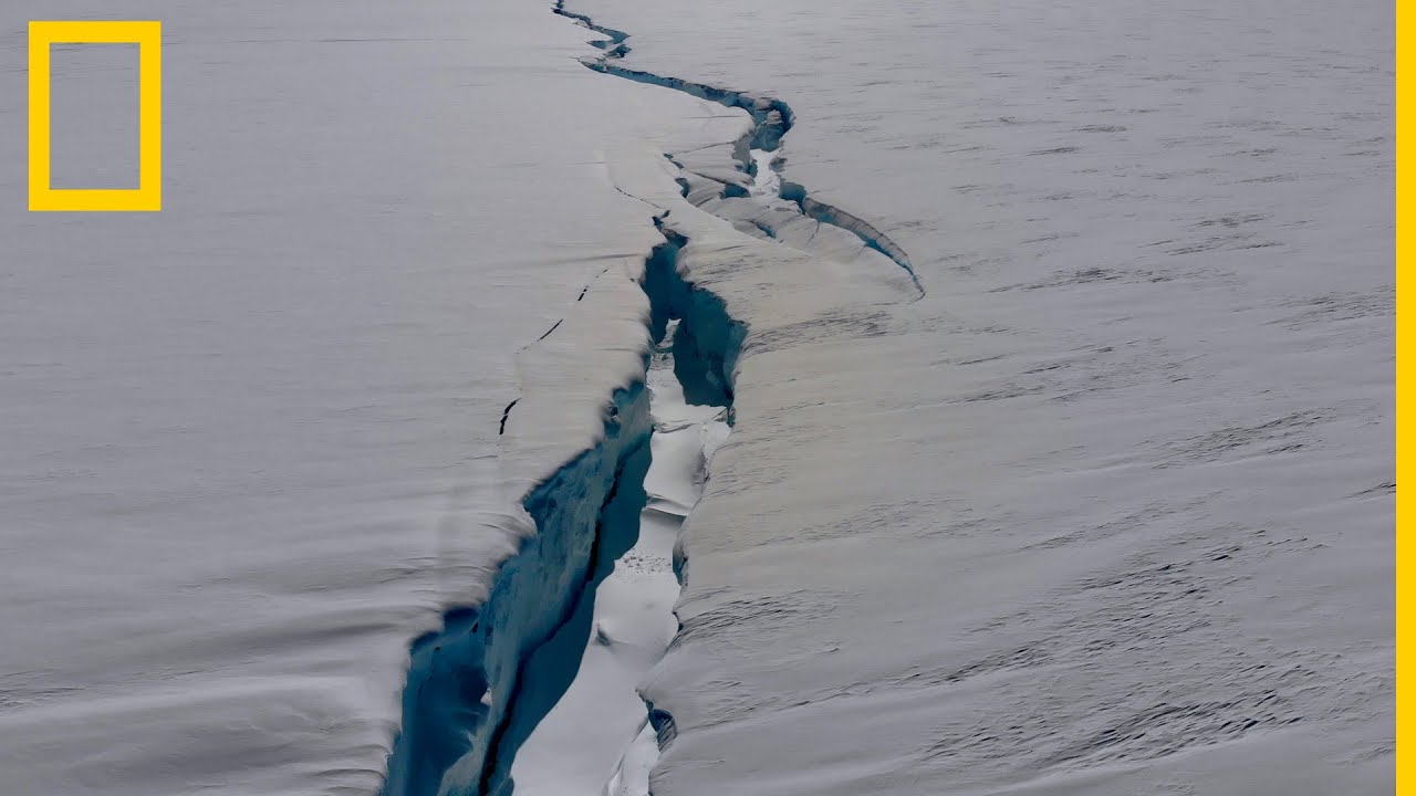 Esta grieta en una plataforma de hielo podría crear un iceberg | National Geographic en Español