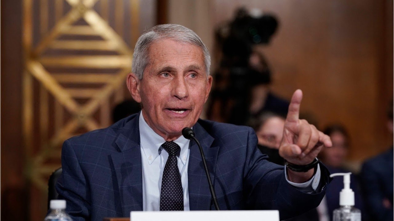 FELON FAUCI? Rand Paul to send letter asking for criminal referral on Dr Anthony Fauci