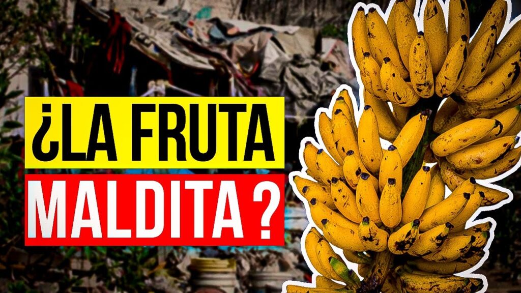 Conoce a la empresa que ARRASÓ un Continente | Ganó Billones 🍌 y dejó solo Pobreza…😨 11-15-2023