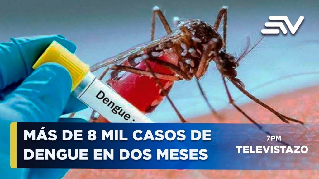 Alerta en Ecuador! Más de 8 mil casos de dengue en menos de 2 meses | Televistazo…. 03-01-2024