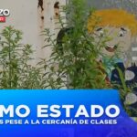 Planteles en Pésimo Estado pese a la cercanía del inicio de Clases | Televistazo…. 04-30-2024