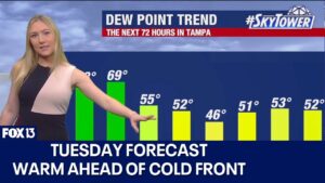 Tampa weather | Sunny ahead of cold front…. 10-15-2024