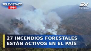 27 incendios forestales están activos en el país….11-15-2024