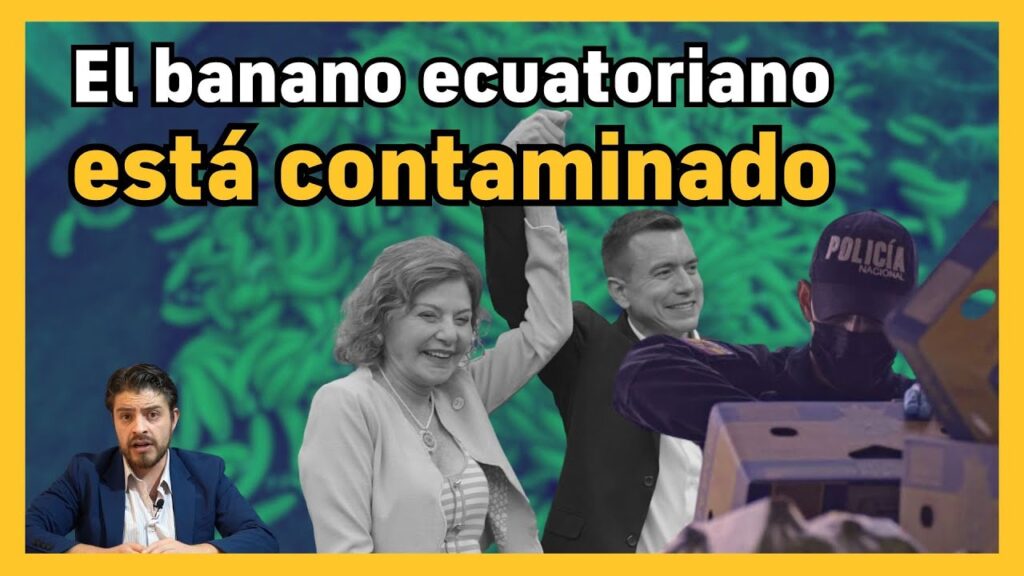 NarcoBanano: Familia Noboa Contaminada? Banano y Coca | BN Periodismo…. 07-22-2024