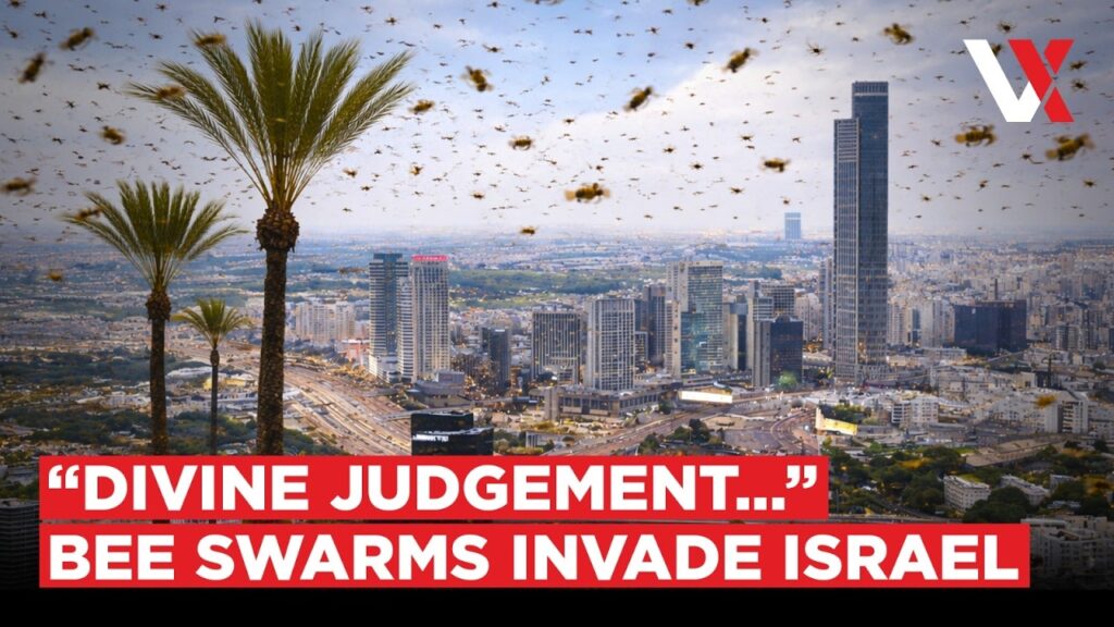 Bee Invasion In Israel? Authorities Issue Warnings As Swarms Spark Fear & Rumours | VERTEX…. 04-15-2026