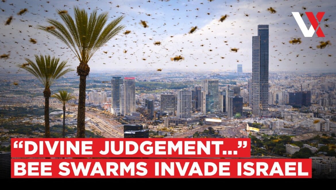 Bee Invasion In Israel? Authorities Issue Warnings As Swarms Spark Fear & Rumours | VERTEX…. 04-15-2026
