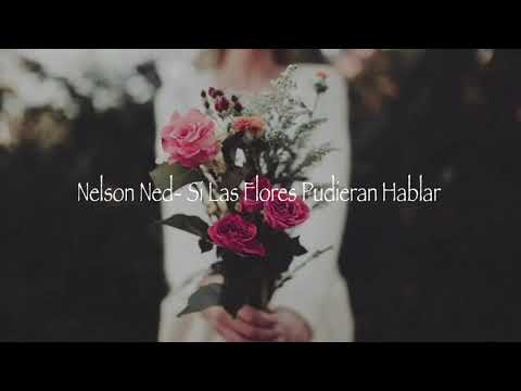 Nelson Ned: Si Las Flores Pudieran Hablar | Letra…. 08-09-2020