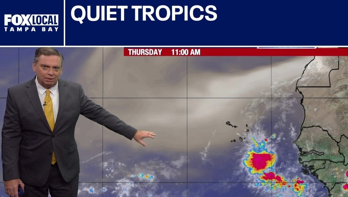 Quiet Tropics while Trump is Thinking about War…. 08-06-2026