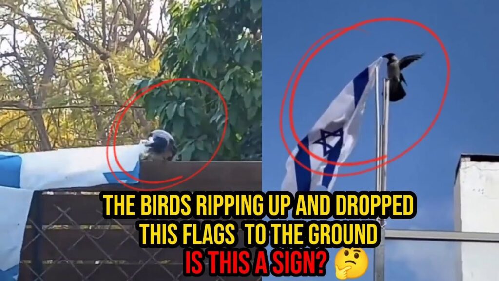The Moments Bird Released The Flying Israeli Flag, Is this a sign? 04-30-2023
