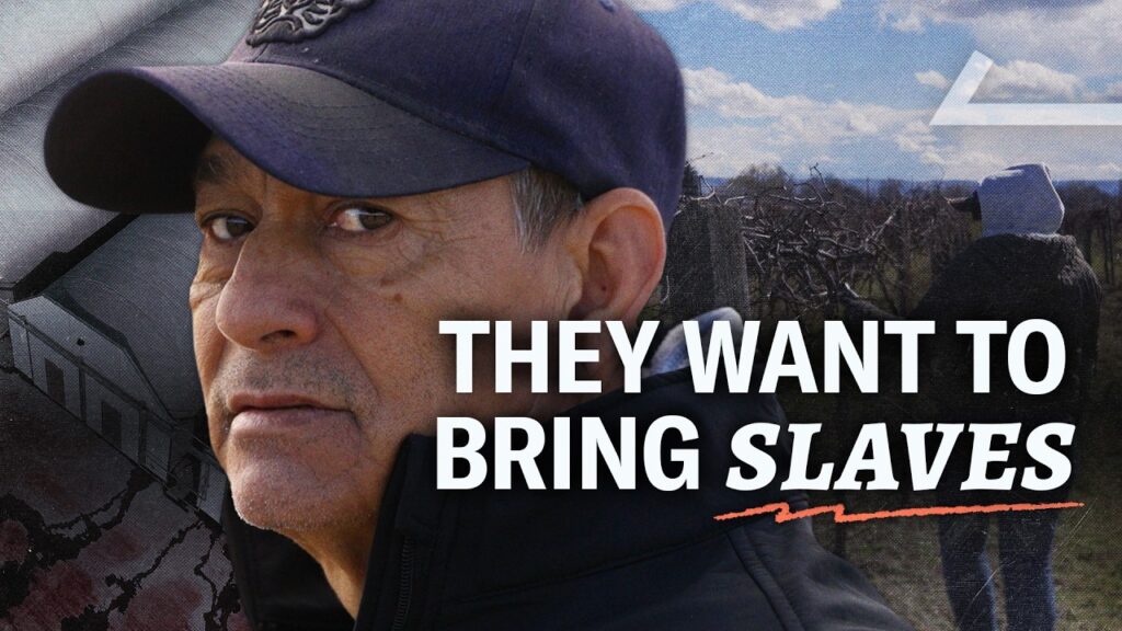 The People Breaking Immigration Law Are Not Who You Think…. 04-21-2026