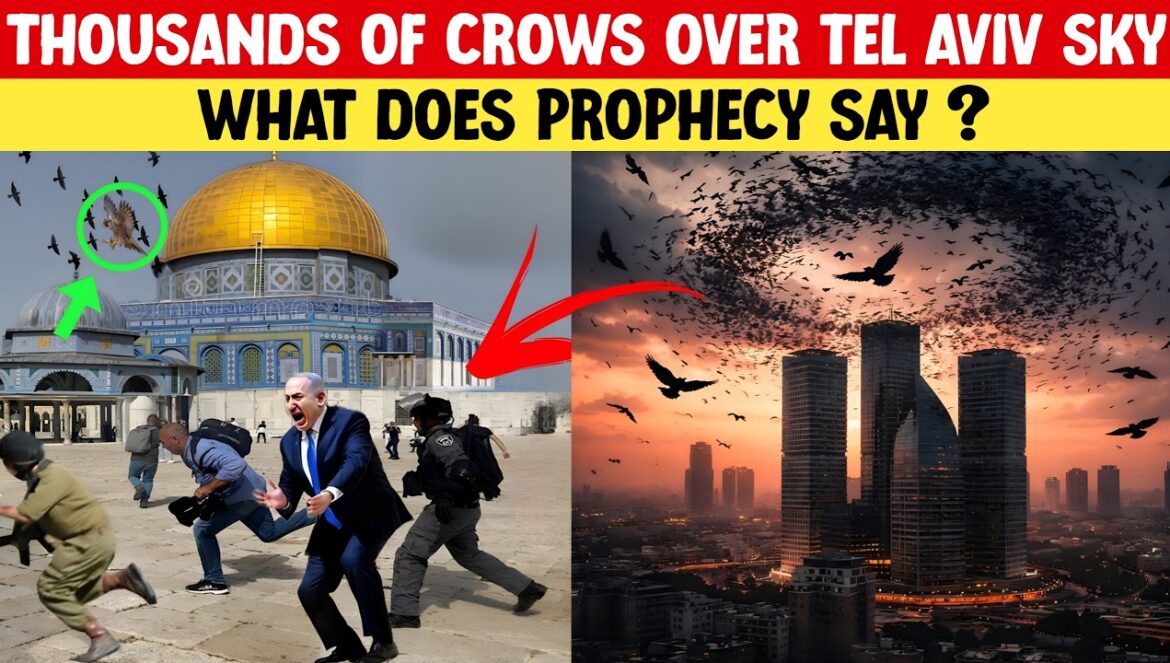 Thousands of Crows Over Tel Aviv Sky… What Does Prophecy Say? 03-30-2026