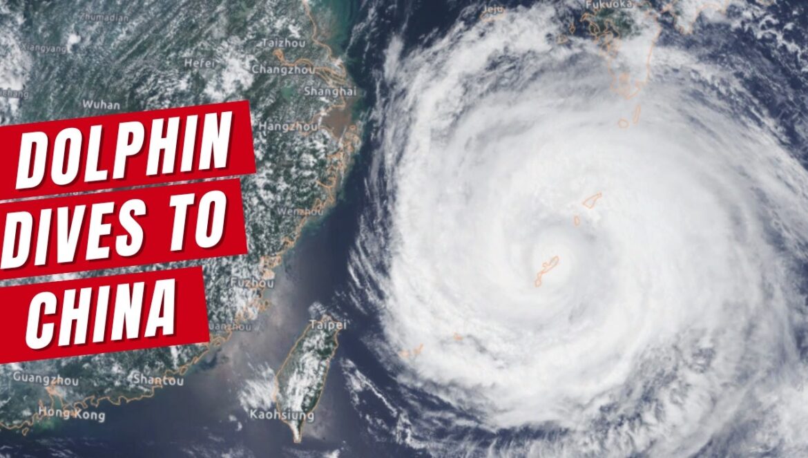 Typhoon Dolphin Prepares to Dive Into Mainland China as Pacific Stays Active…. 08-08-2026